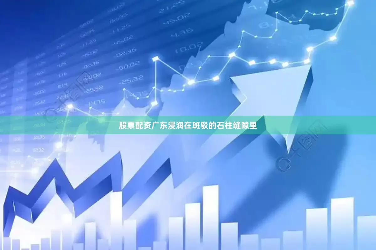 股票配资广东浸润在斑驳的石柱缝隙里