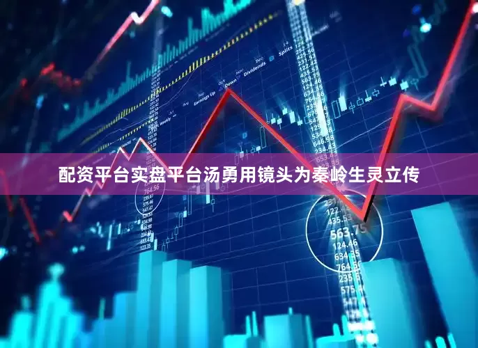配资平台实盘平台汤勇用镜头为秦岭生灵立传