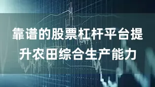 靠谱的股票杠杆平台提升农田综合生产能力
