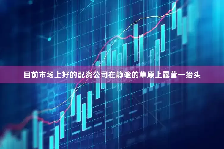 目前市场上好的配资公司在静谧的草原上露营一抬头